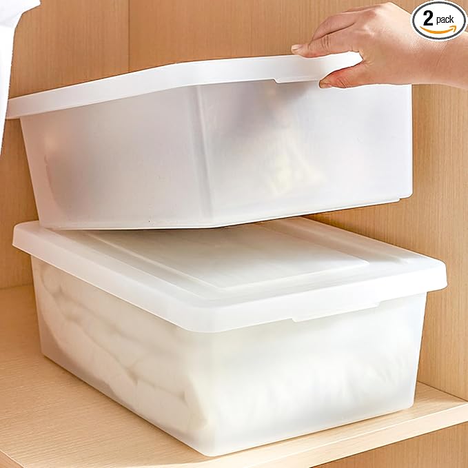 15 Quart Stackable Plastic Storage Bins with Lids,Container to Organize Shoes and Crafts on Closet Shelves,Garage, Totes, Tubs Boxes Organizing 2 Pack (N-2L)