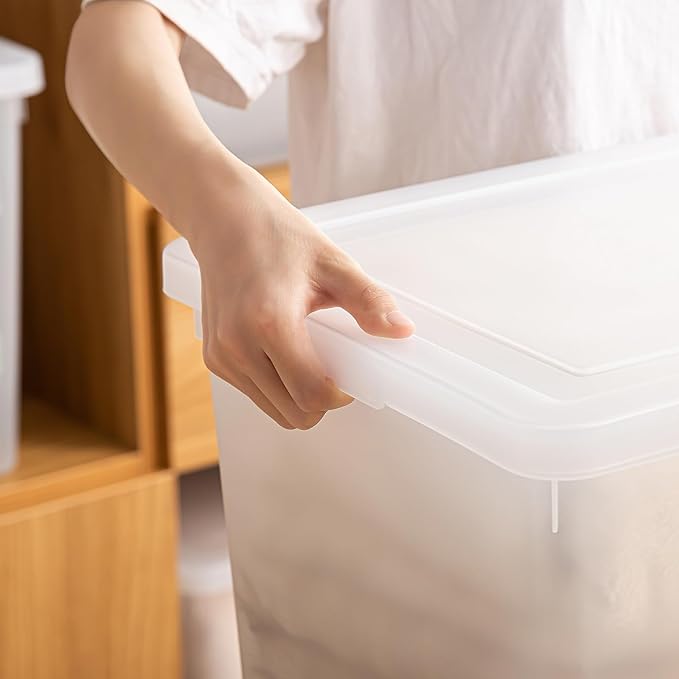 15 Quart Stackable Plastic Storage Bins with Lids,Container to Organize Shoes and Crafts on Closet Shelves,Garage, Totes, Tubs Boxes Organizing 2 Pack (N-2L)