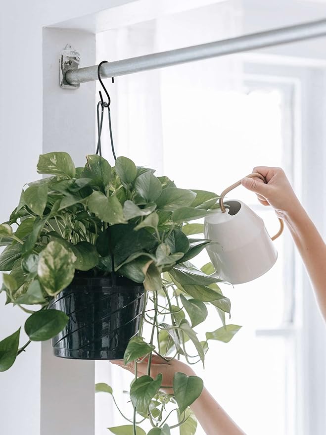 Yikla S Hooks for Hanging Clothes, Plants, S Hooks Heavy Duty, Black S Shaped Hooks, Small Metal Hook, 30 Pack