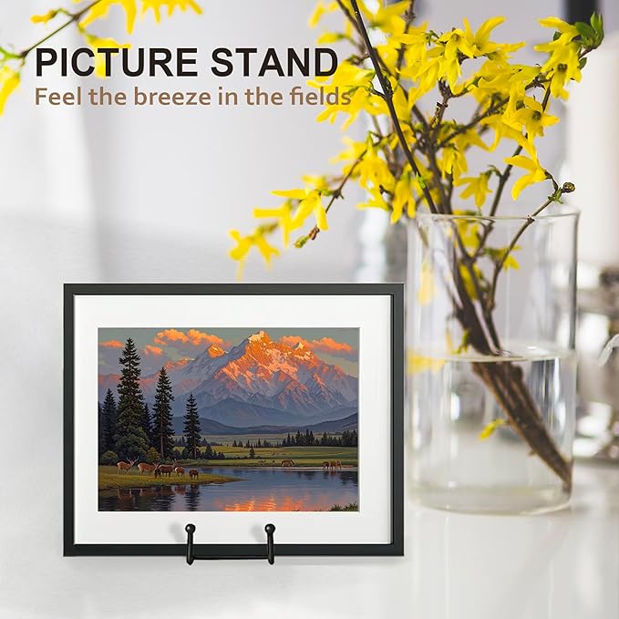 Hoewina Plate Stands for Display, 3 Pack 10 Inch Plate Holder Display Stands, Metal Frame holder stand for Book, Picture, Decorative Plate, Photo and Platter, Tabletop Art