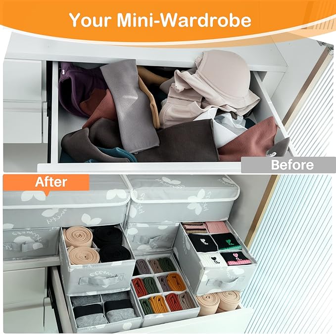 EASEVE 2 Pack Sock Underwear Drawer Organizer Divider - Closet Organizers and Storage Dresser Organizer Wardrobe Clothes Box Storage Bins with Lid for Bra, Socks, Leggings, Shirt, Panty (Grey)