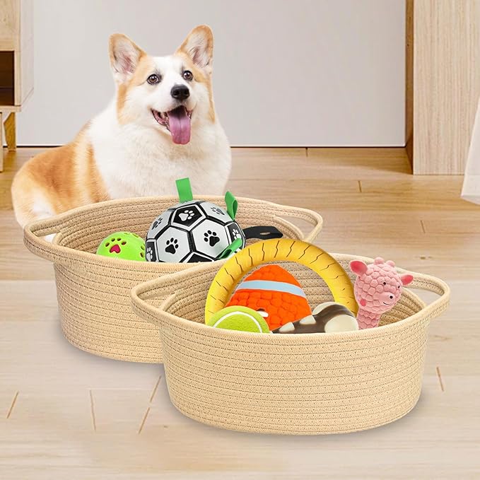 ABenkle Small Basket with Handles - Decorative Durable Rope Woven Storage Bin Shelf Storage Organizer Cube, Easter Baby Gift Basket, 12"x8"x5"